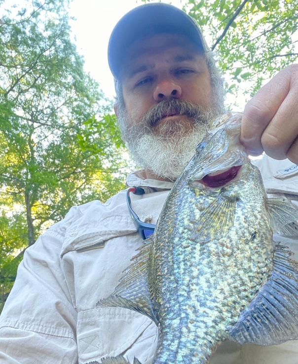 SatillaRK's tweet photo. It looks like we’re piranha roll now. There are only two more days left for the Fishing Tournament, let's get out there and krill it! 

This one is pretty fish-tastic, Will! 🎣💙 https://t.co/zk4Fjr9uvk