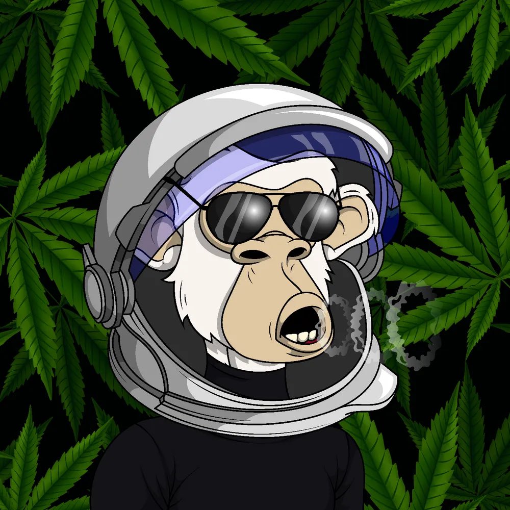 onelowdub123's tweet photo. @Kdoc1010 @StonedApesNFT @isaacasimoff Ayeee space helmet gang #stacgang https://t.co/rbRZts24Fp