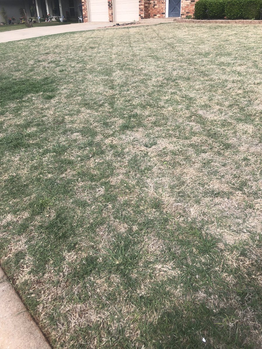 AndrewLawnOrder's tweet photo. It is always a pleasure to take care of @CoachJGamblin yard. #LawnCare https://t.co/z4e8NiuUTX