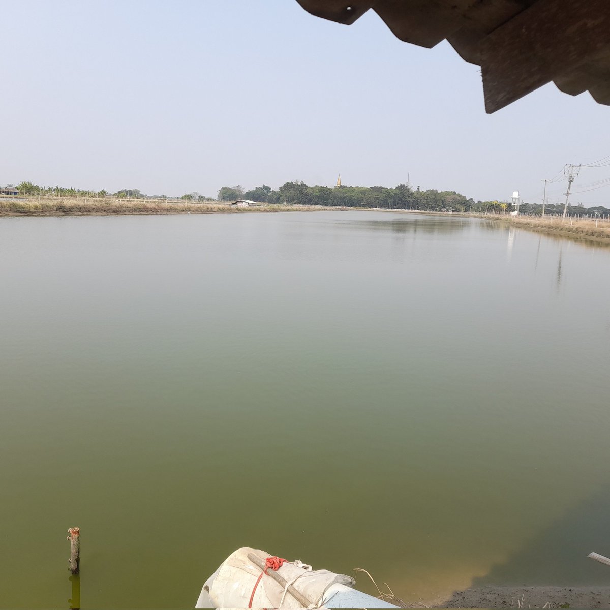RangHnu's tweet photo. #NewProfilePic https://t.co/VshgPGNOlV