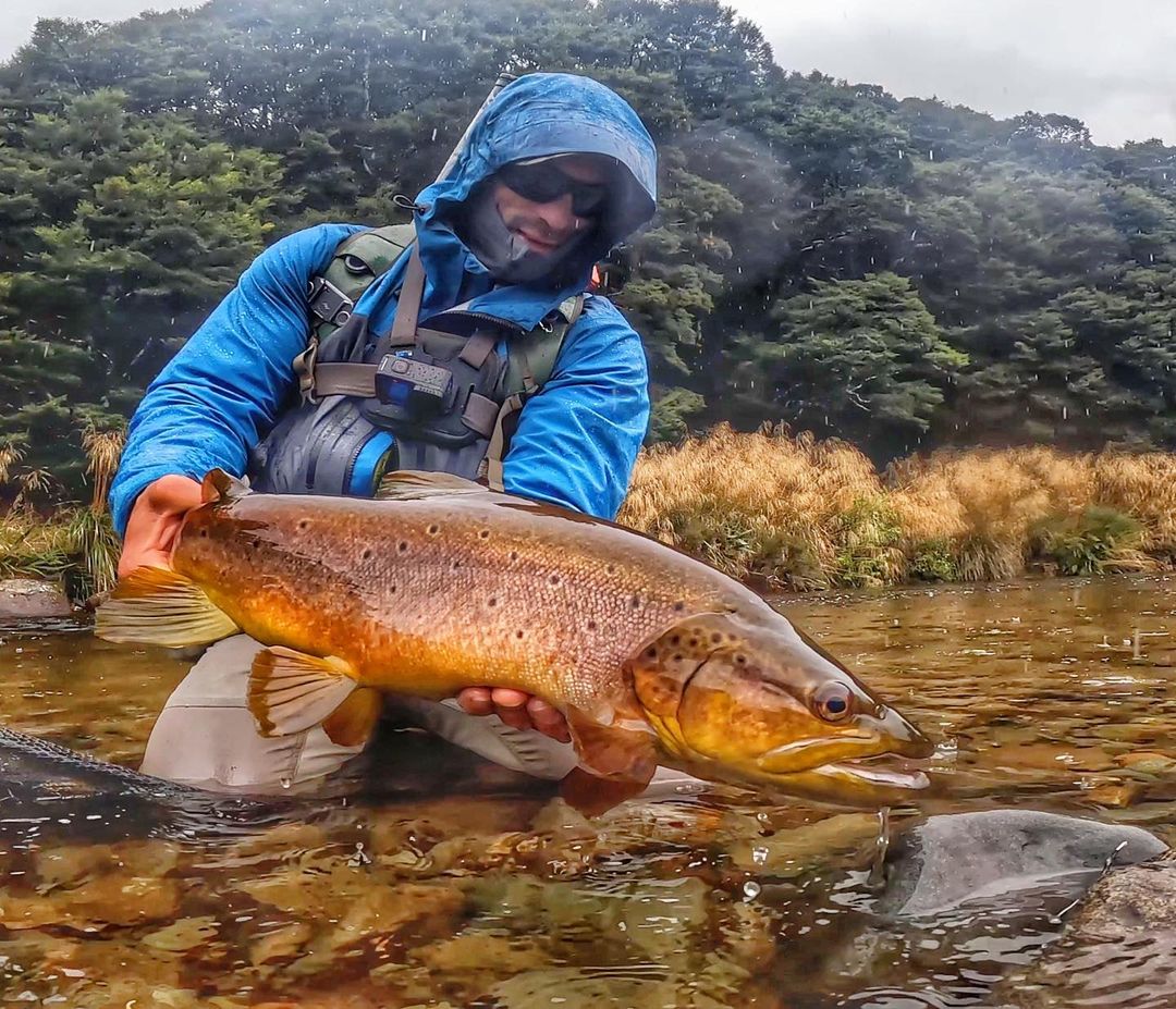 86Ali3's tweet photo. Name the fish! 
#fishing #fishinglife #fishingtrip https://t.co/fp0dYOkL5L