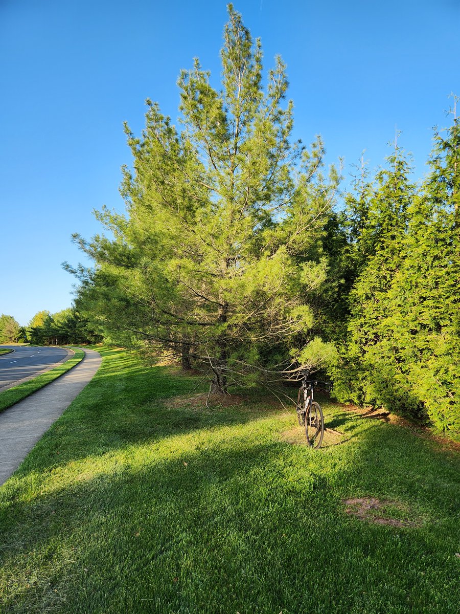 kion's tweet photo. Really enjoyed this 55K bike ride along the Washington &amp; Old Dominion Trail, Fairfax County Parkway, and then some really quiet and picturesque country roads along the edge of the Great Falls Park and through the Wolf Trap National Park for the Performing Arts.
🏞️🚴 https://t.co/aEE5X5vfgp