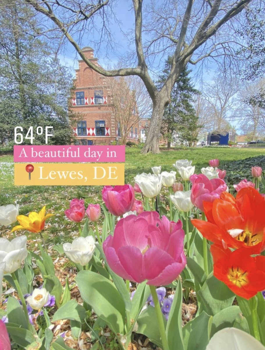 JoinDESchools's tweet photo. Explore spring in Delaware via @DelawareTourism! We have 96 miles of unique landscape to begin your teaching career! Visit https://t.co/VI0JbfIqHO #TeachInDelaware #leadindelaware #jobopportunity https://t.co/t5Qr8UM58z