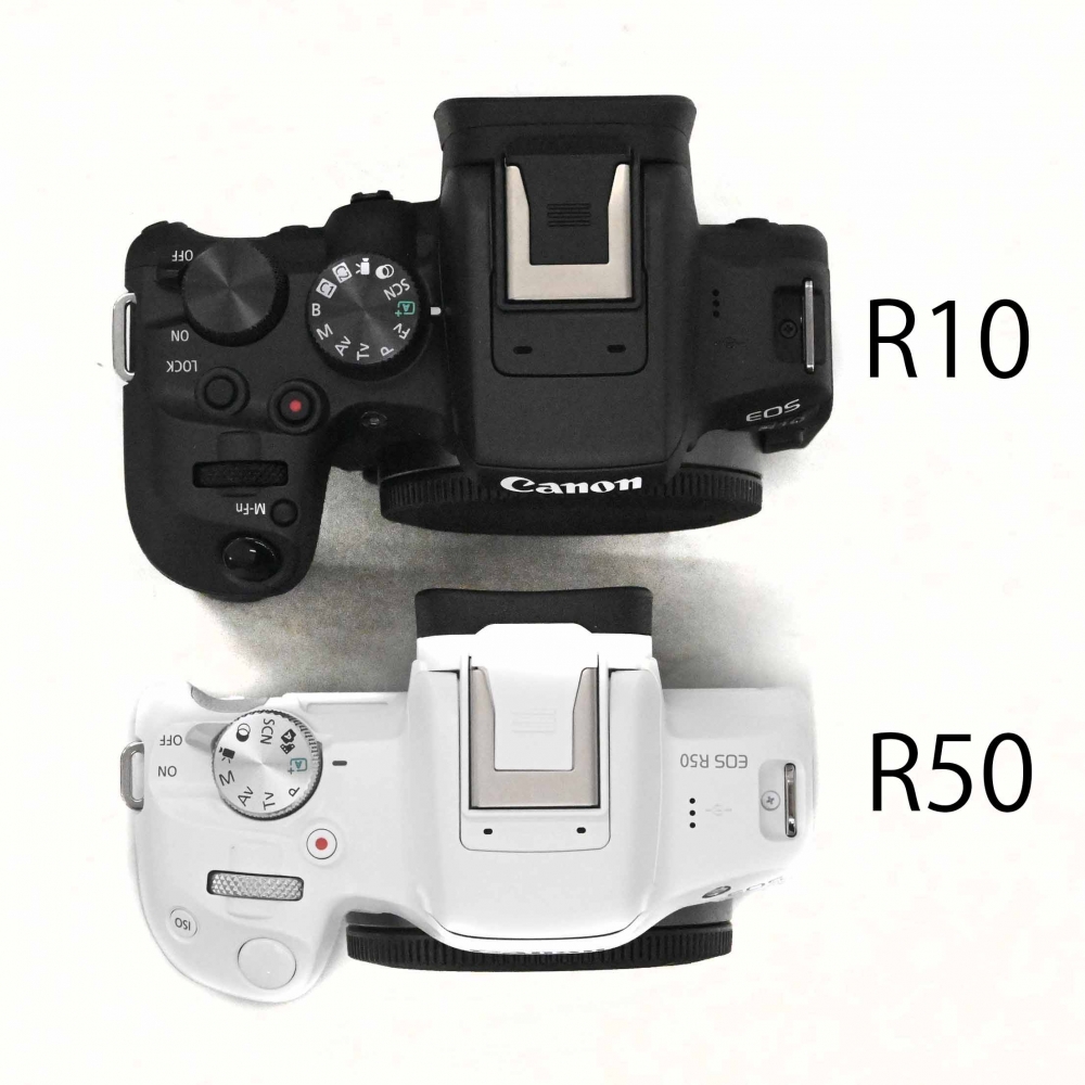 チャンプカメラ on Twitter: