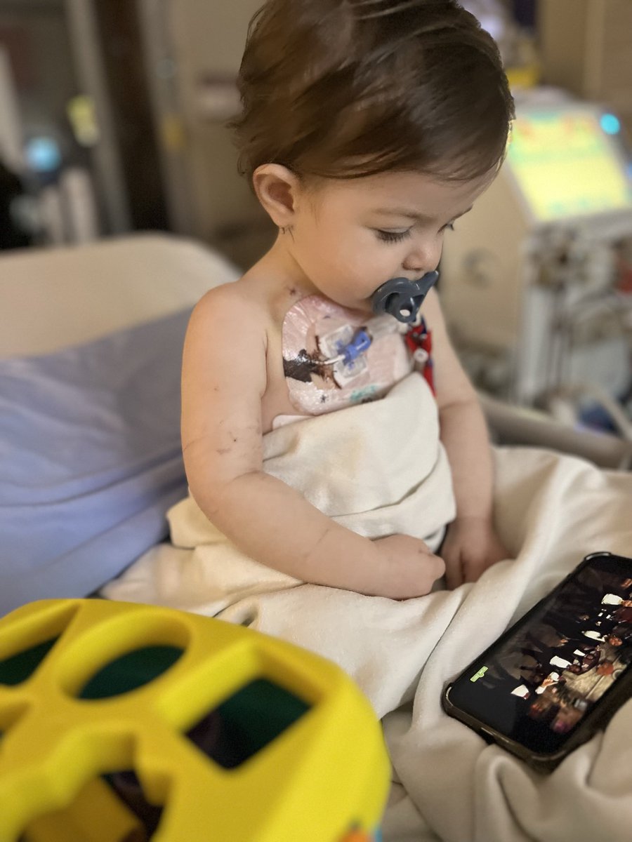HannahGeorge_'s tweet photo. Anyway, here’s the toughest person I know. https://t.co/Eg3RdEBbch