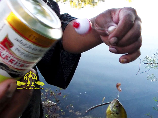 TheUrbanAbo's tweet photo. [FREE TUTORIAL] How to: Make and Use Pop Can Fishing Rigs >>  #survival #survivor #primitiveTechnology #bushcraft #prepper #SHTF #popcan #fishing #angling #survival #bushcraft #rewilding #resilientLiving #rodAndReel #prepper #SHTF @TheUrbanAbo https://t.co/FZc15nDx1f