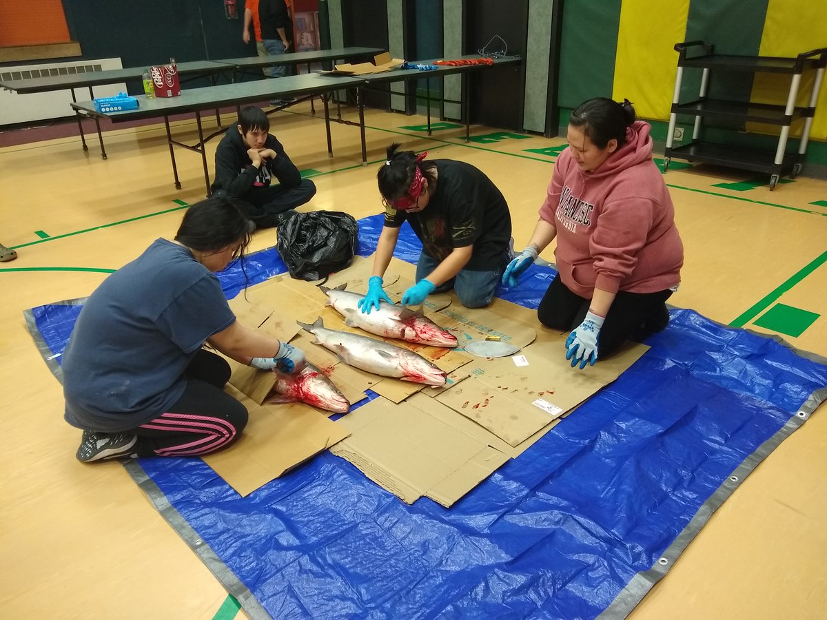 Alaska Humanities tweet media