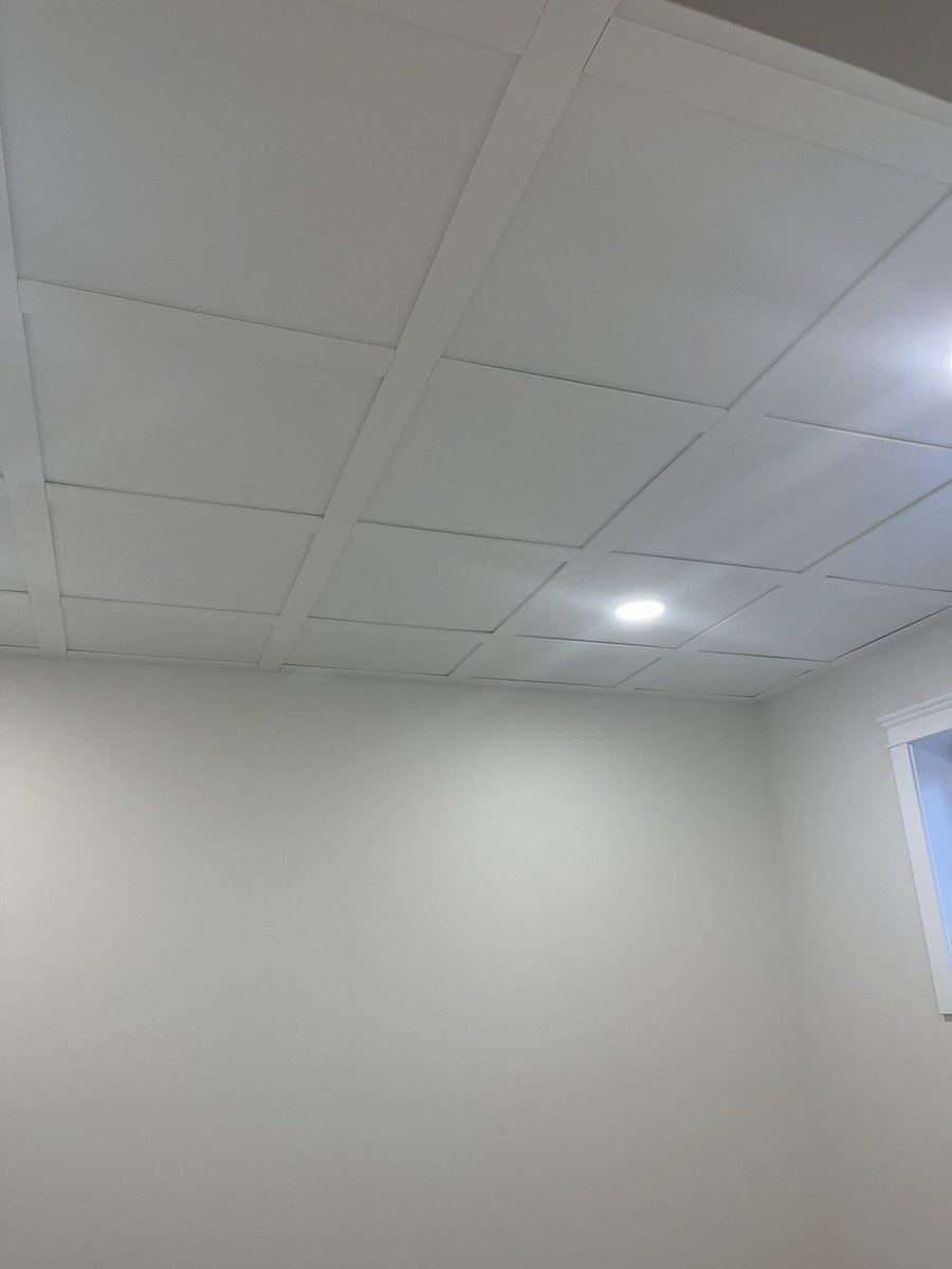 cnoll19's tweet photo. @rhofford It’s from Costco can’t remember the name but I didn’t like the older suspended ceiling tile look with the metal track https://t.co/OMZnvMnvAT