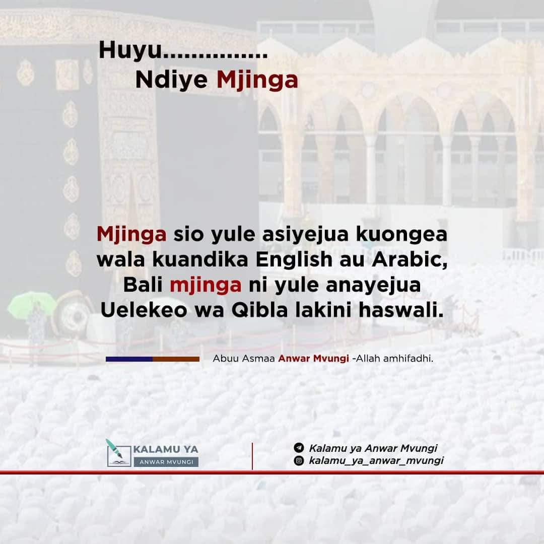 msouthherbs's tweet photo. https://t.co/H1tYKBQais