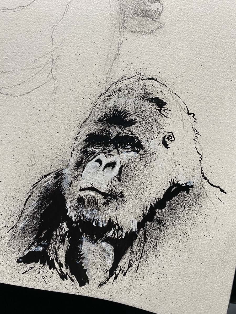 Saturday night sketching. #gorilla in ink. 

#sketchbook #sketching #sketch #ink #inkdrawing #inkart #parallelpen #art #artist #artwork #illustration #doodle #traditionalart #animals