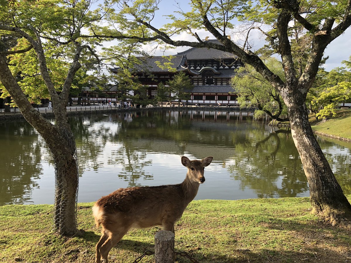 Artem Anokhin tweet media