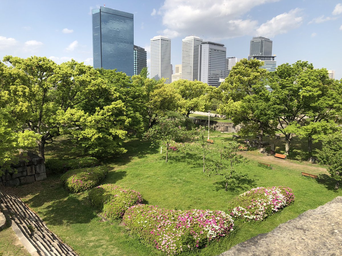 Artem Anokhin tweet media