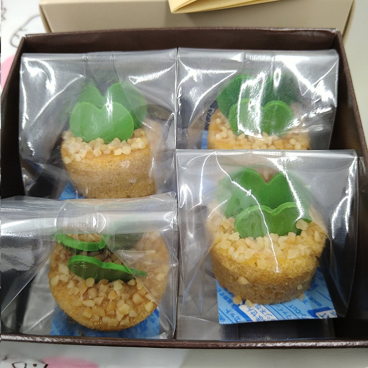 rusei98's tweet photo. 1人で仕事してたら、後輩ちゃんが出張のお土産を持って来てくれました🎁
立ち寄ったデパートで偶然出会い、「緑のハート!💚これは!!」となったそう😊
サボテン🌵モチーフらしいんですが、彼女には緑のハート💚しか見えなかったみたい🤭
aiko、一緒に行けるといいね!
#littleteeth #さぼてん https://t.co/ryVFaBrAeq