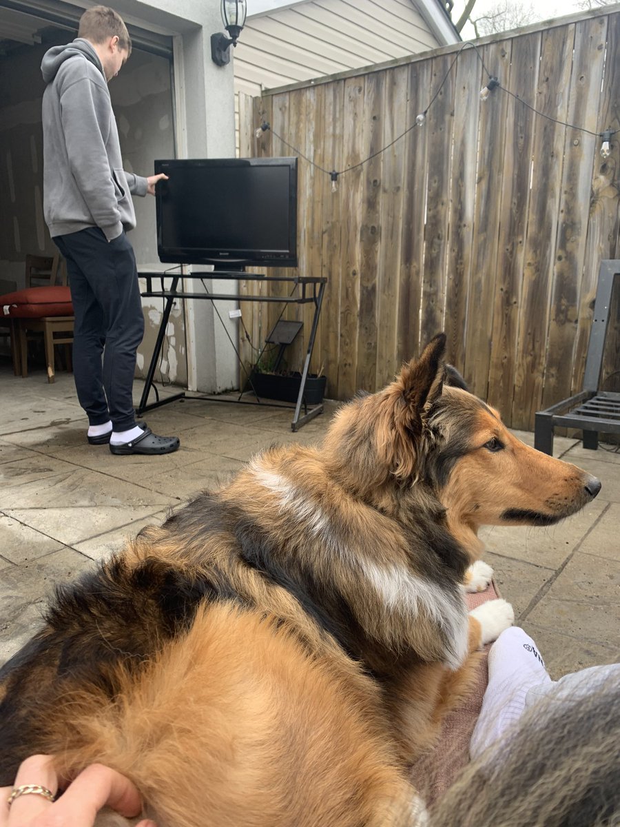 RealZoeBeaudry's tweet photo. Toronto vibes, never too early for the outdoor TV (it rained when we went inside to eat dinner) 😅 Kobe can’t be bothered @PFTCommenter https://t.co/1TjMKu3Ttb