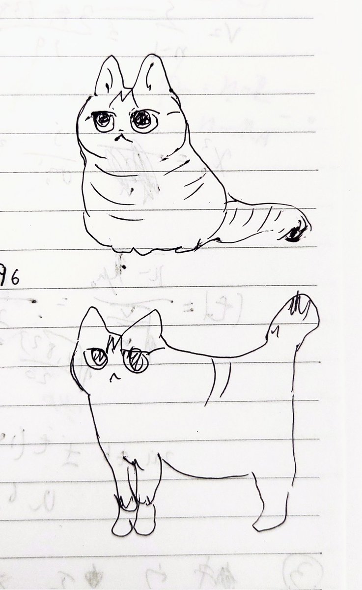 ねこ 