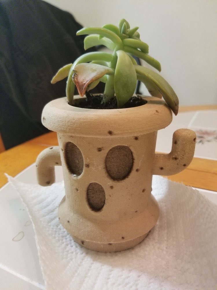 bread_vt's tweet photo. the gyroid planter 🪴 https://t.co/0OjpmGg6dn