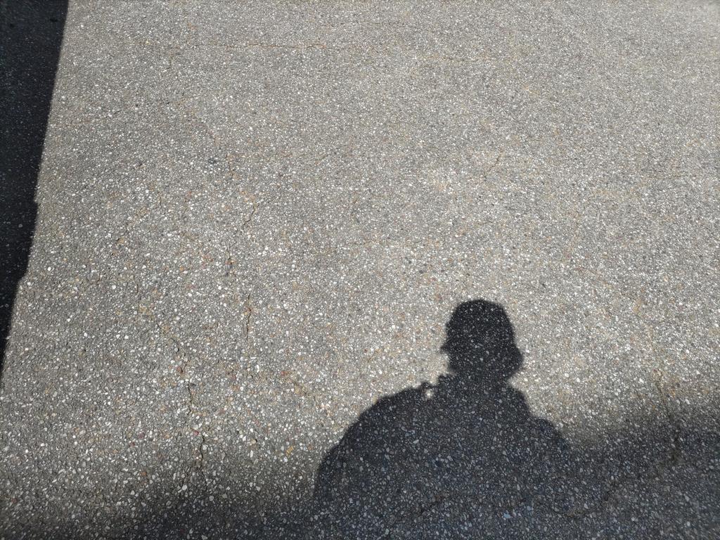 DCimprobook's tweet photo. 影から飛び出していくようなことしたいな〜と思った散歩道
影から鳥が飛び出していく速さ、生まれ出る様な感覚 https://t.co/7vbHq3G4kg