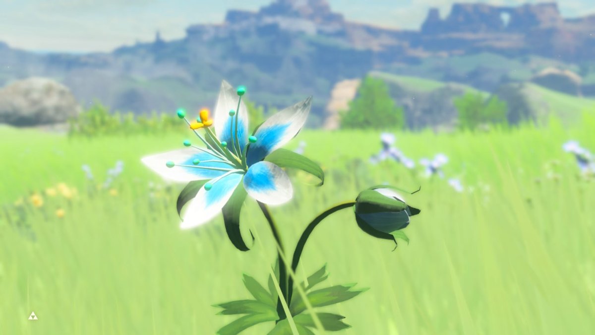 Elis_iii's tweet photo. #BreathoftheWild #NintendoSwitch https://t.co/9zovbWVcdJ