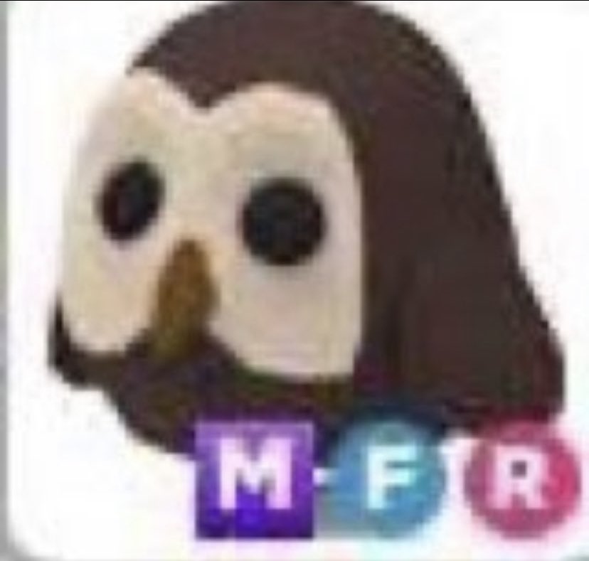 MFR OWL GW

- to enter please,
follow @yoriraki &amp; <a href="/liljj_06/">oi</a> 
❤️ &amp; 🔄
- tag ppl!

ends soonish 😁

tags; #giveaway #giveaway #adoptmegiveaway #adoptme