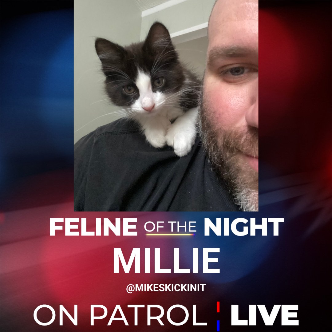 ReelzChannel's tweet photo. Congratulations, Millie. You are tonight's #FelineOfTheNight.

#OnPatrolLive #OPLive #OPNation @mikeskickinit https://t.co/re8b1Y6LLo
