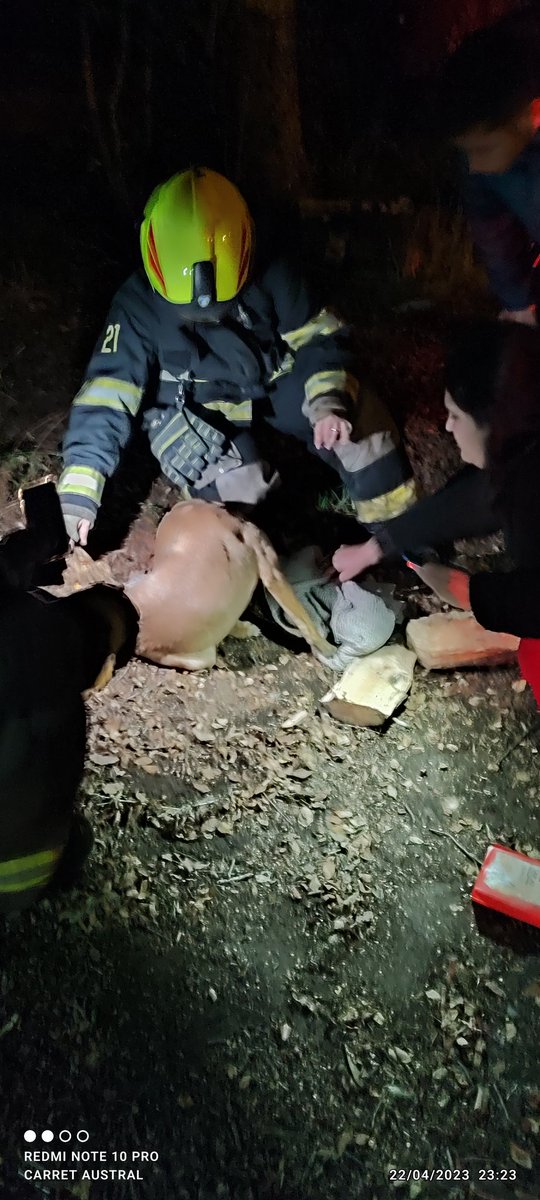 TerceraCerroAlt's tweet photo. Nuestra Unidad B-3, trabajó en rescate animal al norte de nuestra localidad, sector Santa Laura.  Se trató de perrita en situación de calle con cabeza atrapada en llanta de vehículo.
El rescate fue éxitoso, liberando la perrita. https://t.co/8Ur7bywbIu