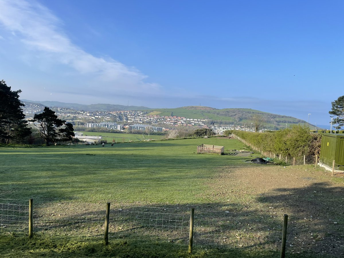 Birdnerdjenny's tweet photo. Great couple of days spent wandering around Aberystwyth and going to the open day at @AberUni very good to learn more about the ecology course, some of the research and to see the campus (in particular the tropical greenhouse- so cool) https://t.co/5hwnKYcy8e