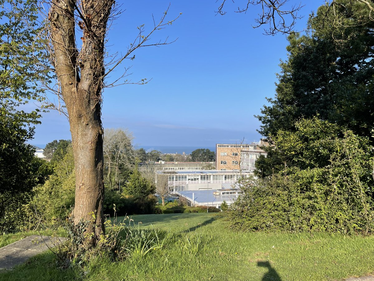 Birdnerdjenny's tweet photo. Great couple of days spent wandering around Aberystwyth and going to the open day at @AberUni very good to learn more about the ecology course, some of the research and to see the campus (in particular the tropical greenhouse- so cool) https://t.co/5hwnKYcy8e