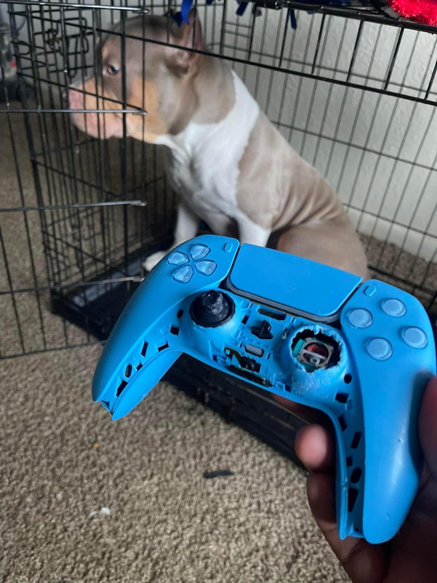 AyooKd's tweet photo. Either he getting sold for $70 or he letting me give him a $70 A$$ whoopin 🤦🏾‍♂️ https://t.co/UkgO2e1fwA