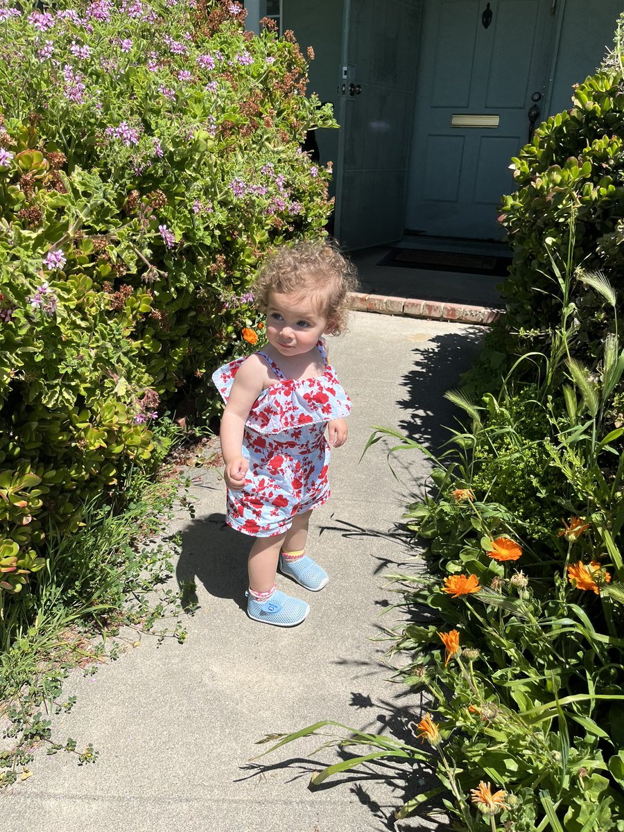 Christine Santiago tweet media