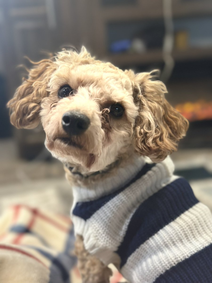 PeriodicallCody's tweet photo. https://t.co/mlBlqOxPkt