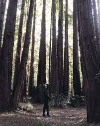 MarkBal73667435's tweet photo. @808CQVFEFE @BillClinton I think he's playing hide and seek with Comey. https://t.co/gocktTu2Uq