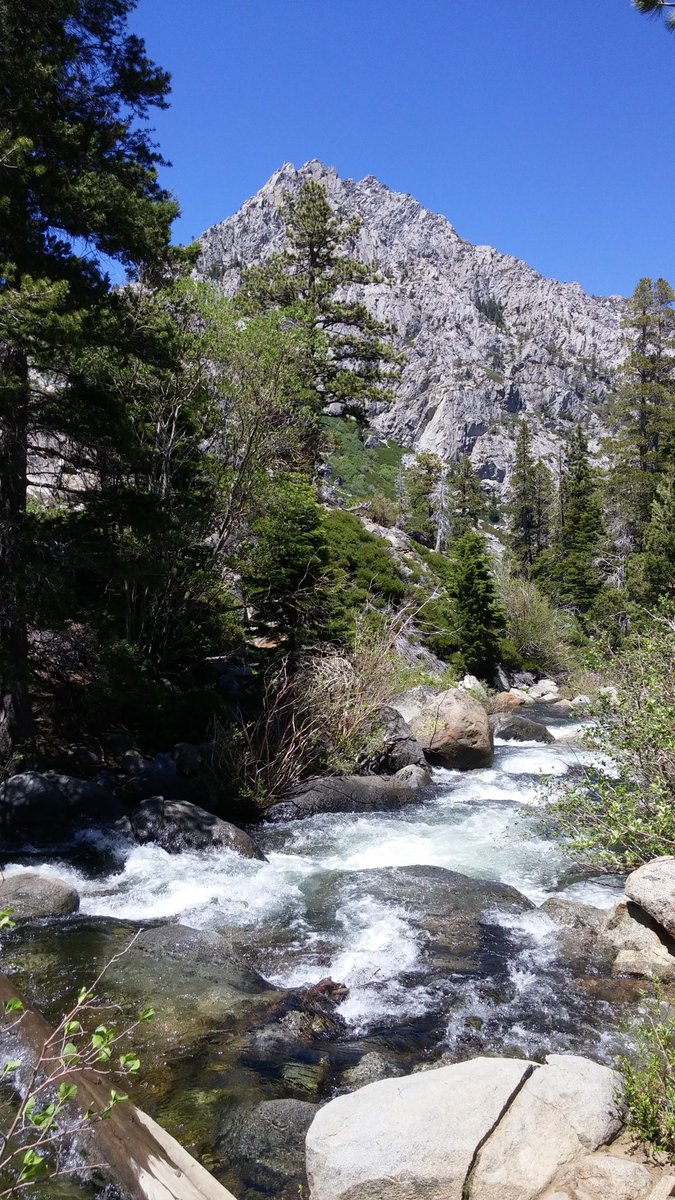 Green Chamber tweet media