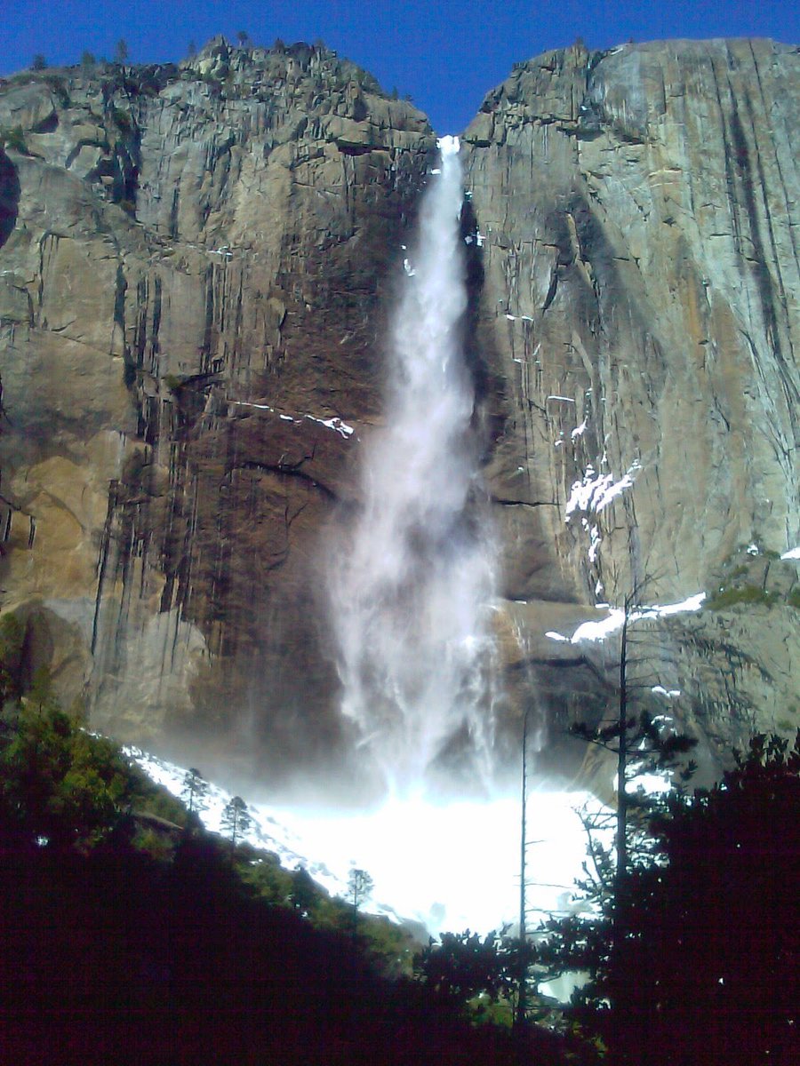 Green Chamber tweet media