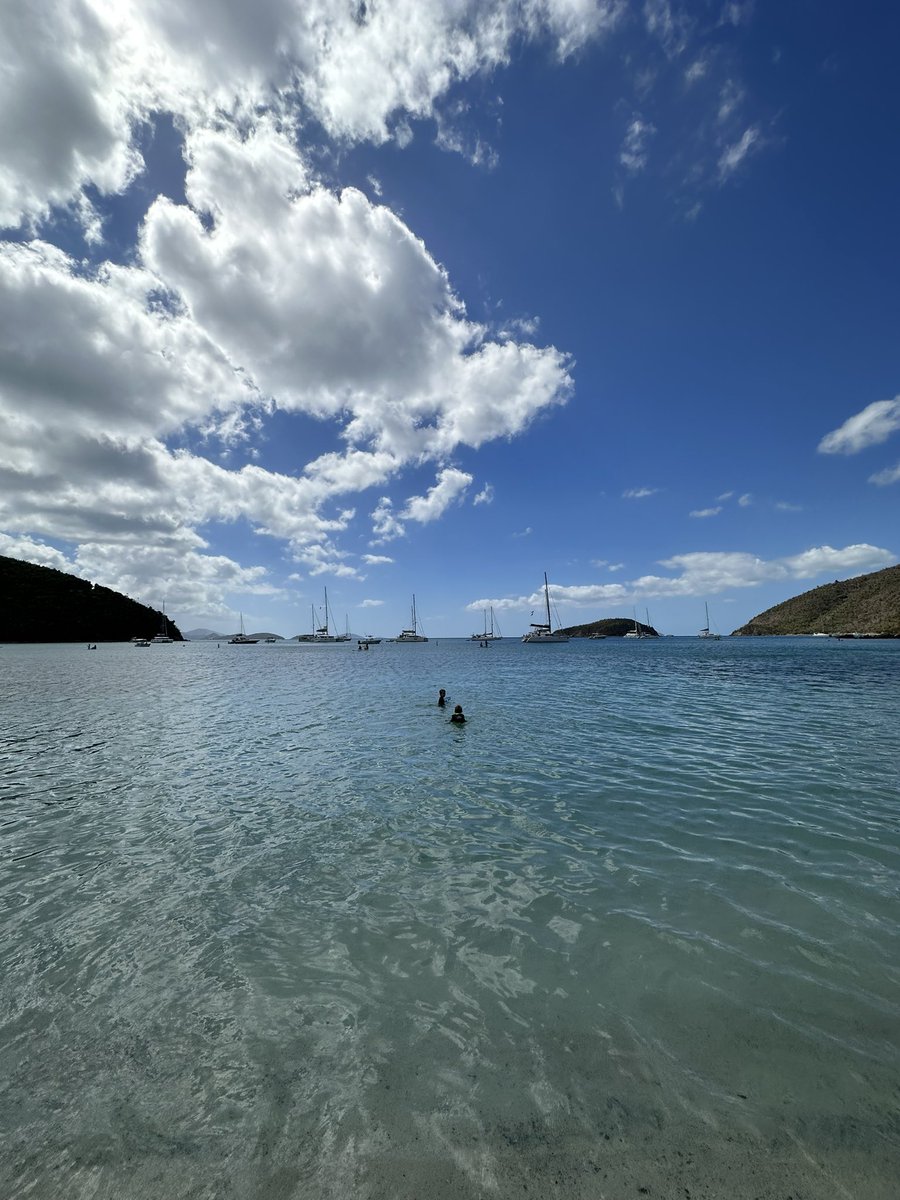 Green Chamber tweet media