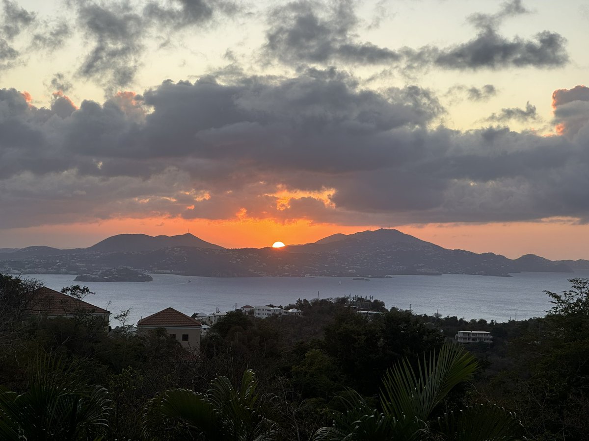 Green Chamber tweet media