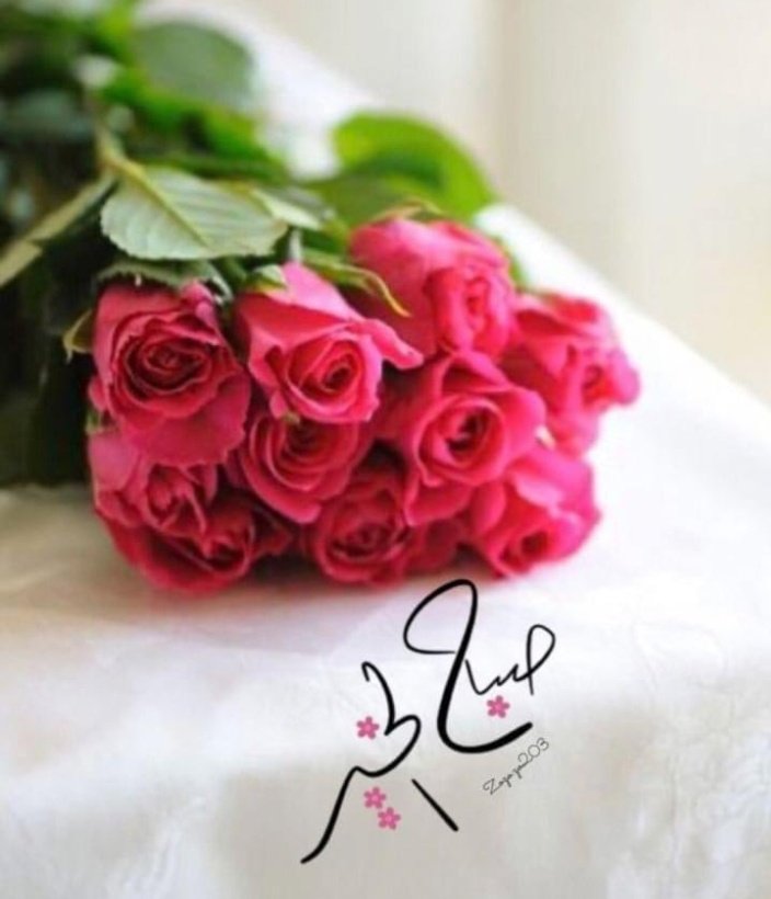 سالب كبير مربرب 🇴🇲 (@wlyd08103390) on Twitter photo 