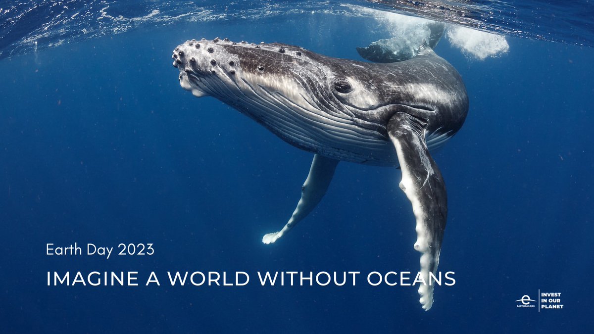 Imagine a world without oceans. We certainly can't... Our team at Sea Women wishes everyone a wondrous #EarthDay. There are many #hopespots in the world's oceans, which cover 71 of Earth's surface area and regulate the planet's climate
#nobluenogreen #investinourplanet #oceans