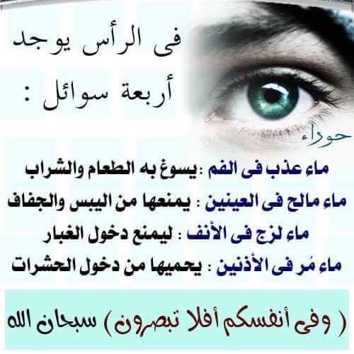 zahrani077_asjz's tweet photo. https://t.co/nxKl6CNvri