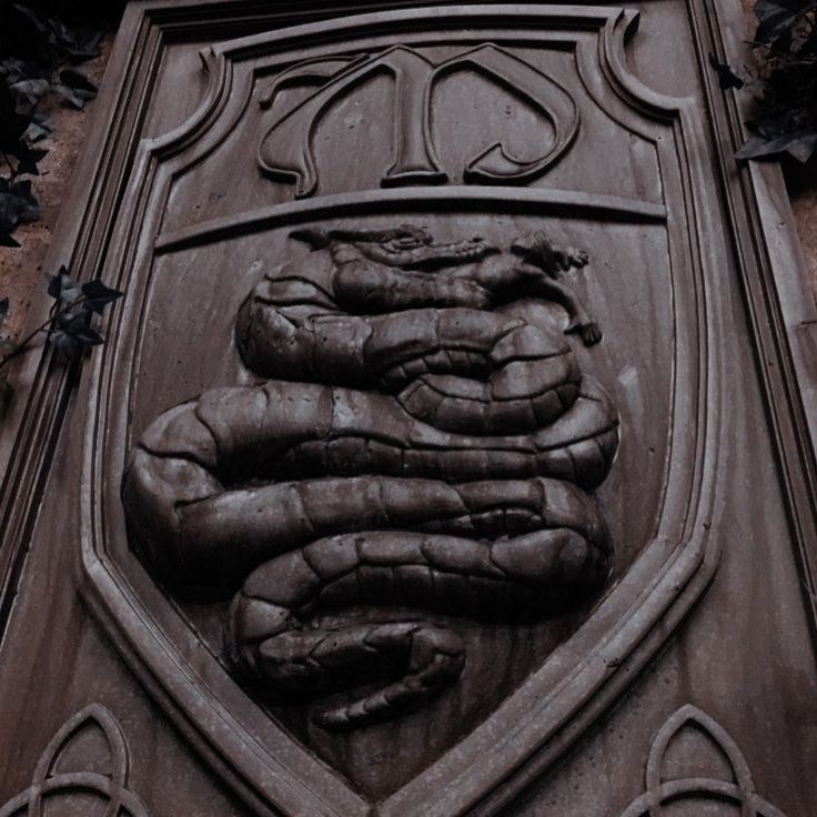 browtftvdfan's tweet photo. Previsously on the vampire diaries https://t.co/YTBsI1xJ7N