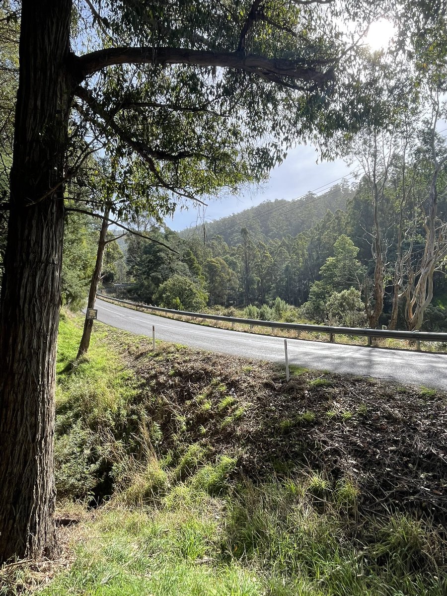 jaysonj_'s tweet photo. got a puncture but hey, it’s beautiful🚴 https://t.co/l0Tm64OhqJ