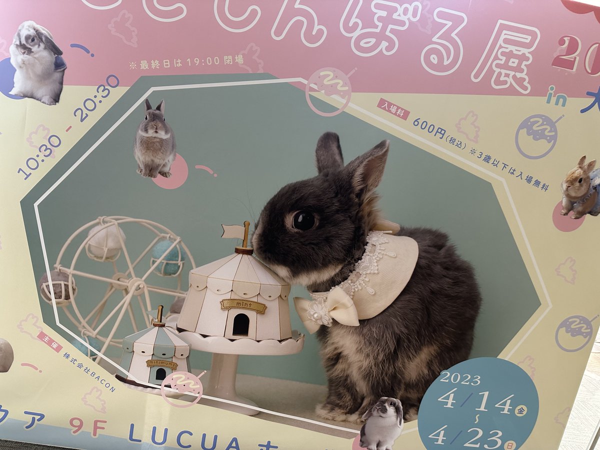 baconcoltd's tweet photo. |うさぎしんぼる展 2023 in 大阪|🐰～4/23(日)までルクア大阪にて開催中🐰

本日最終日‼︎
ハンドメイド作品からアクセサリー、小物などまだまだグッズも追加されてますので、充実しております〜♪
癒し度最大級です🎉

詳細→ https://t.co/afuPyaA7AW
#大阪イベント https://t.co/Ci1Iw9l8UF