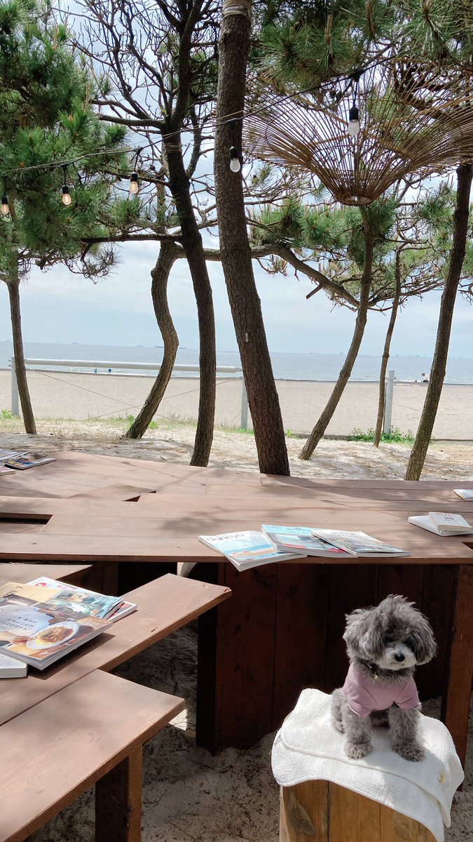 GOGO58227131's tweet photo. find chloe

クロエを探せ。

#findchloe #クロエを探せ https://t.co/w9fQSgf6Fn
