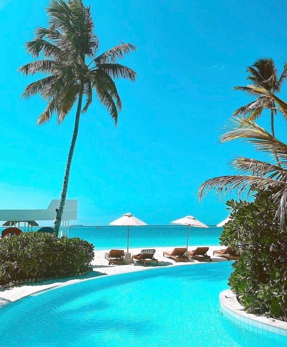guardiaplanet's tweet photo. Back again. Then 2 years later.
Volví.  Después de 2 años, nuevamente aquí.  
#planetearth #planetguard #nature #landscape #photo #travel #spa #surfing #peace #life #hope #stillness #relax #harmony #sand #shore #coast #seaside #beach #water #sea https://t.co/UpR3t7rcKU