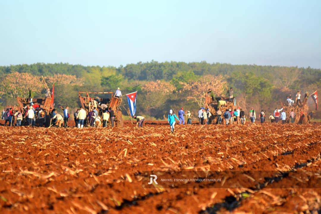 Qué sería de mi #Cuba, si como algunos dicen, la juventud estuviera perdida, ausente; pero no lo está, sigue viva, activa y vencedora como su pueblo. Los enormes desafíos vividos en los últimos años así lo demuestran. #UnaMejorJuventud <a href="/DiazCanelB/">Miguel Díaz-Canel Bermúdez</a> <a href="/DrRobertoMOjeda/">Dr. Roberto Morales Ojeda</a> <a href="/UJCdeCuba/">UJC de Cuba</a>