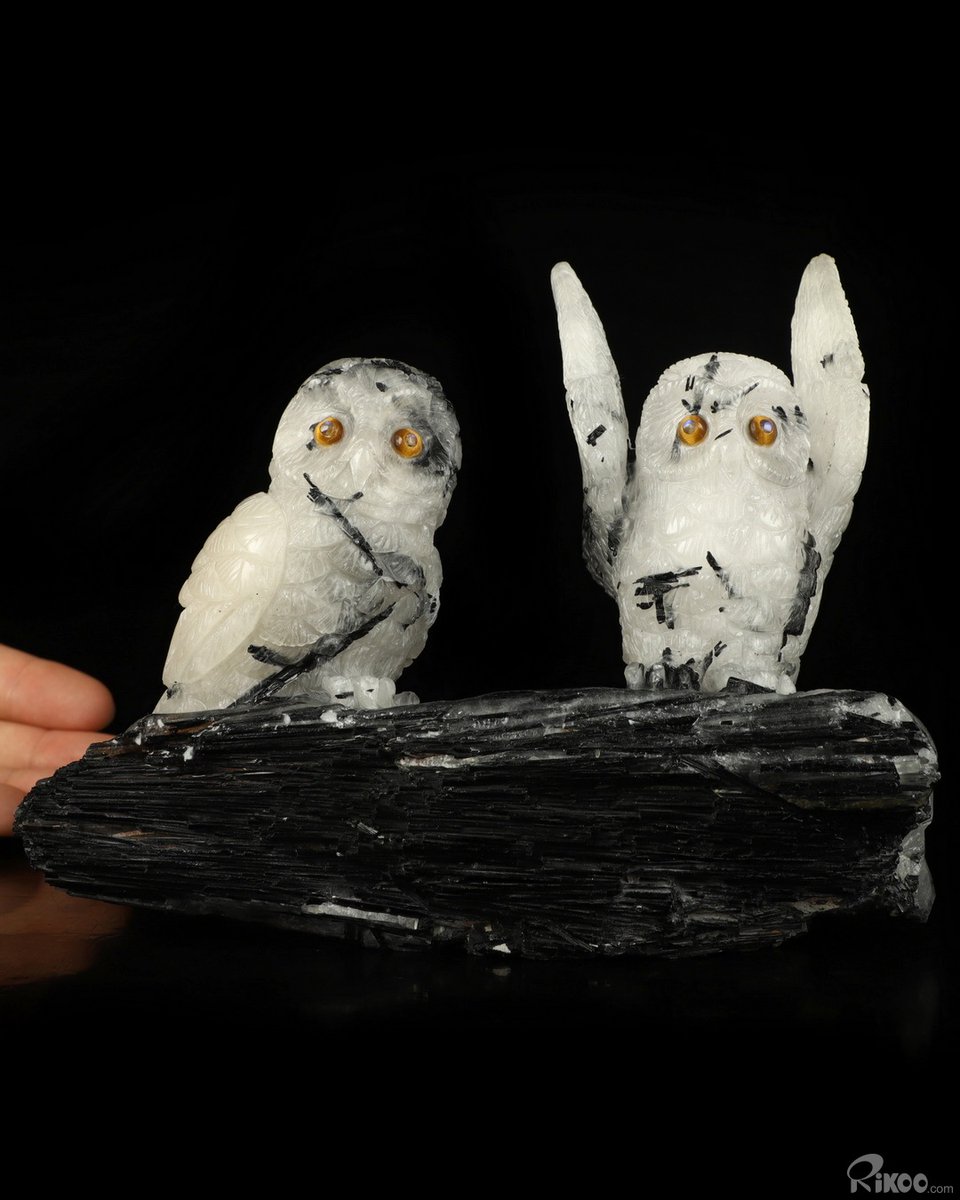 Rikoo_Gems's tweet photo. 7.0" Black Tourmaline Carved Crystal Owl &amp; Tiger Eye Eyes Sculpture, Realistic, Crystal Healing

https://t.co/Y1fli6iWZO

Price $799 Take a look- we guarantee you'll be greatly impressed by what you see. #blacktourmalione #owl #animal #gems #art #sculptures #crystals https://t.co/noC6WhUEzt