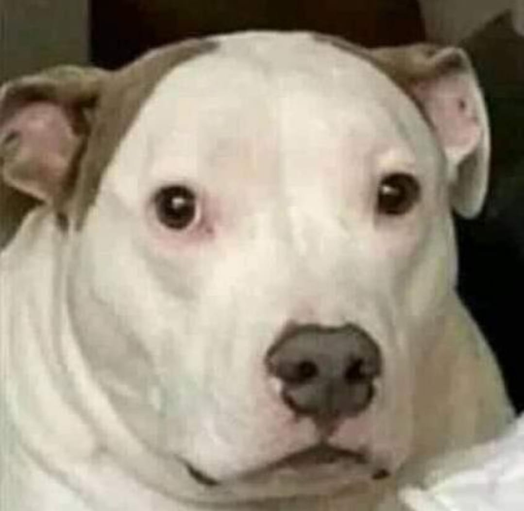 Estoy editando mi video de la exploración y... 

WAT