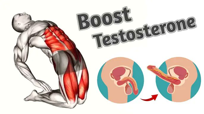 Increase Testosterone Levels Pelvic Exercise Kegal exercise