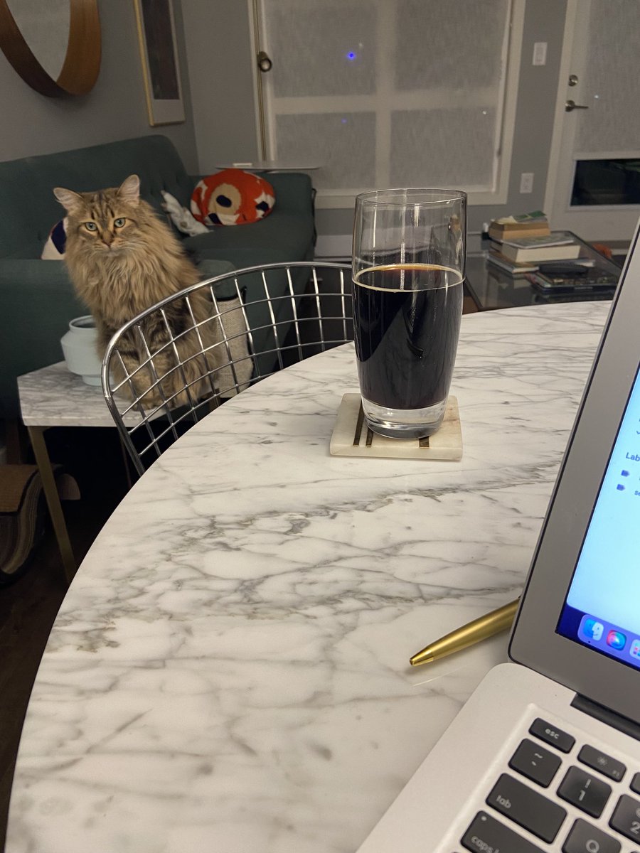 KarlaKorman's tweet photo. Pulling a dark beer into the poetic mix. My assistant looks unsure ⁦@CV2magazine⁩ #2daypoem2023 https://t.co/fHz7G0mRsQ