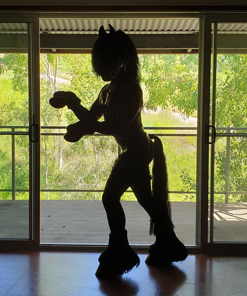 Silhouette Pony - If I could have a shadow follow me around and then manifest itself to take any shape I wanted...this would be the form. But why fantasize about it when you can live it :)

#BDSM #ponyplay #fetish #ponyboy #humanhorse