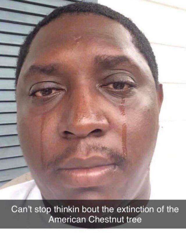 ShitpostGateway (@shitpostgate) on Twitter photo 